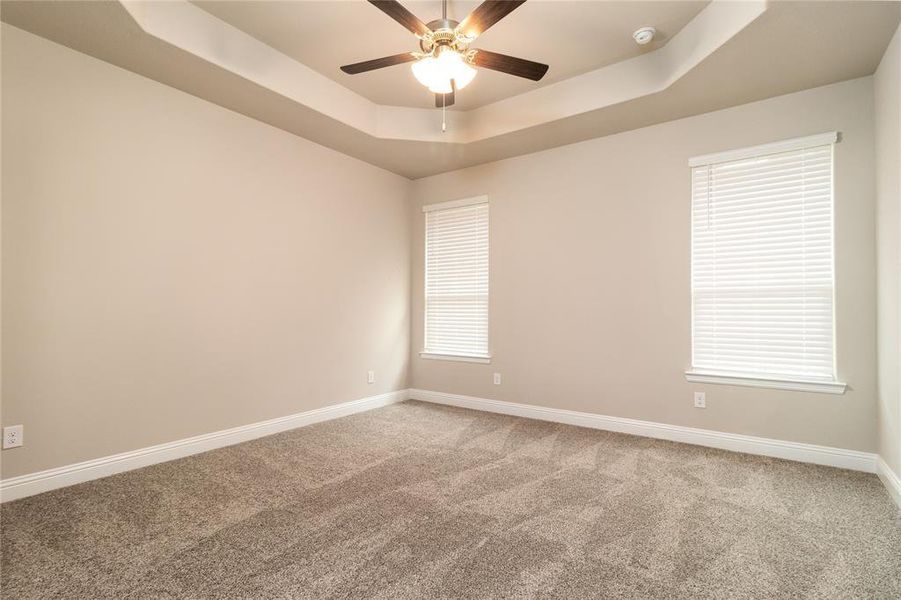 Carpeted spare room featuring a wealth of natural light, ceiling fan, and a raised ceiling