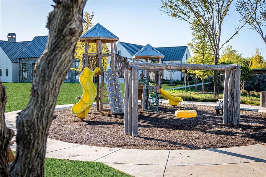 View of jungle gym