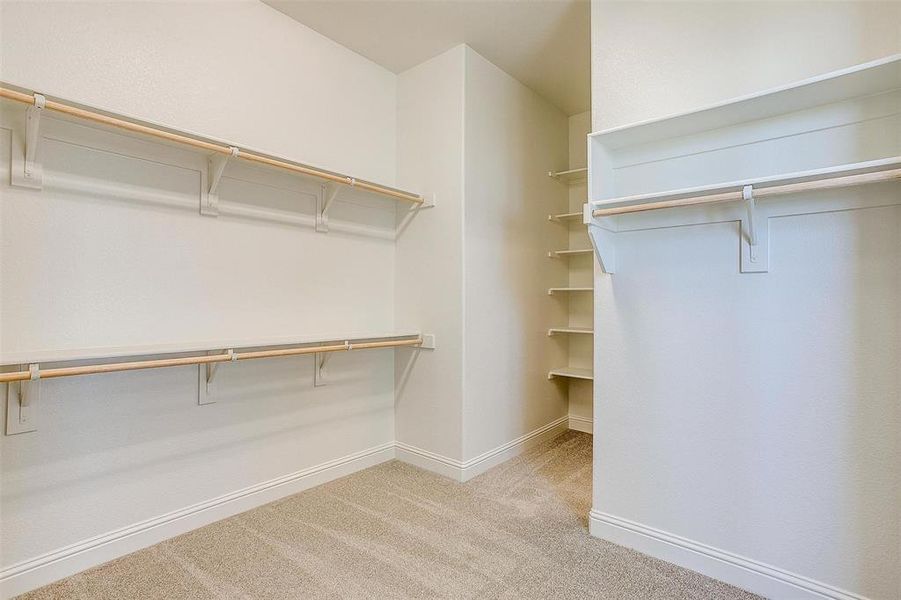 Spacious closet featuring light carpet