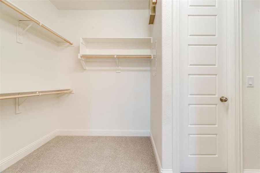 Walk in closet with carpet