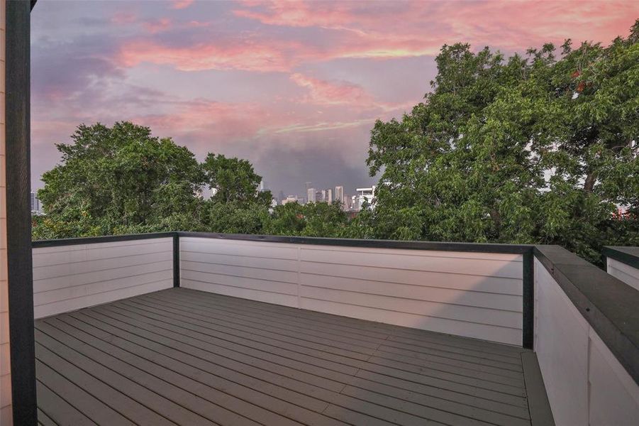 4th floor roof top overlooks the Houston skyline and is ready to grill with a dedicated gas line.