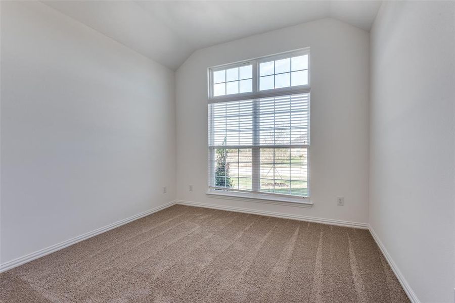 Unfurnished room with carpet floors, a wealth of natural light, and lofted ceiling