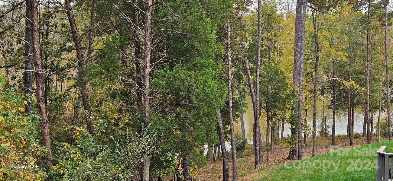 Water view of the lake