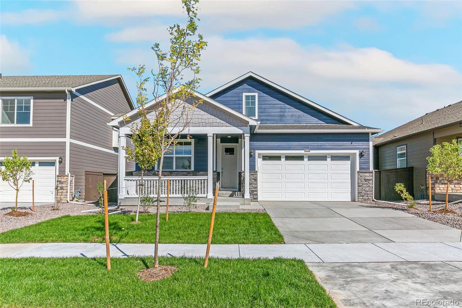 New construction Single-Family house 19191 E 99Th Place, Commerce City, CO 80022 CHATHAM- photo