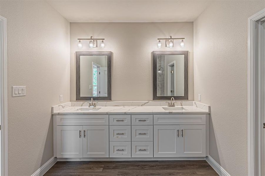 Bathroom with wood-type flooring and dual bowl vanity