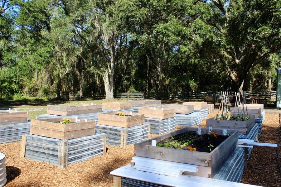 Community Garden Area