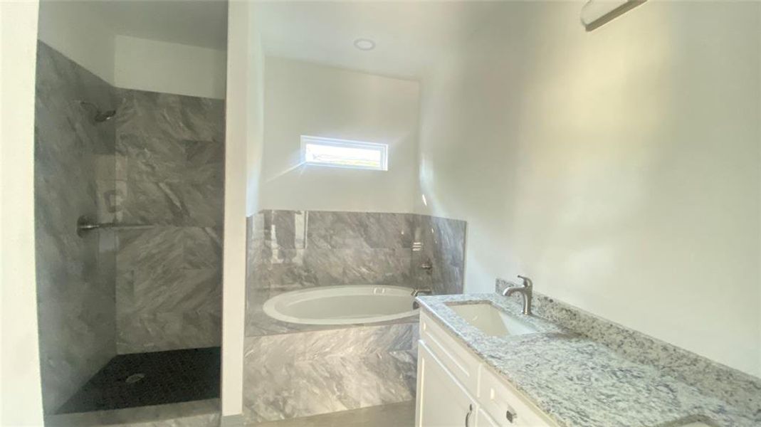 Bathroom with separate shower and tub and vanity