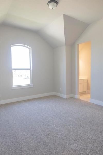 Additional living space featuring vaulted ceiling and carpet floors