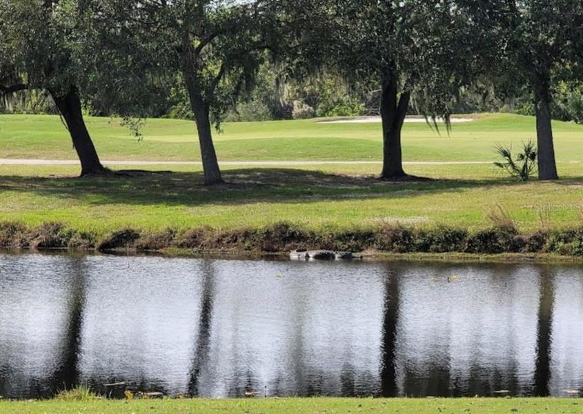 Living so close to a golf course must be really enjoyable, especially if you love golfing or just appreciate the greenery.