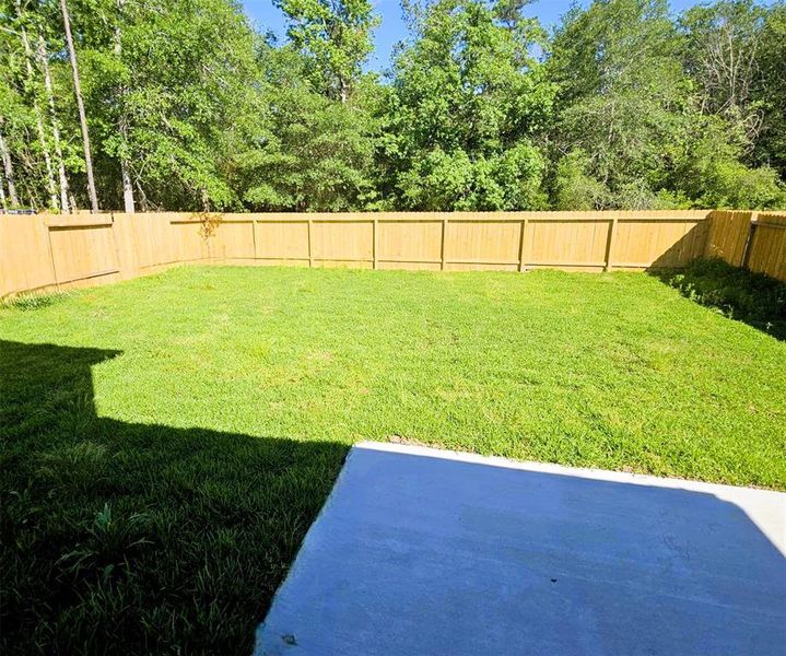 Oversized back yard perfect for your family gatherings