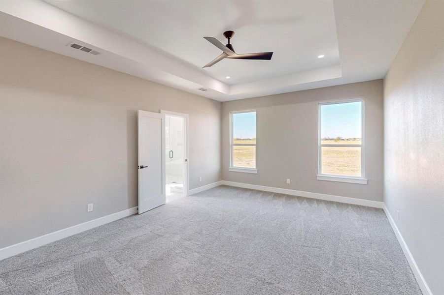 Spare room with light carpet, ceiling fan, plenty of natural light, and a raised ceiling