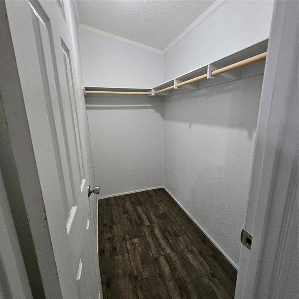 Walk in closet with dark hardwood / wood-style floors