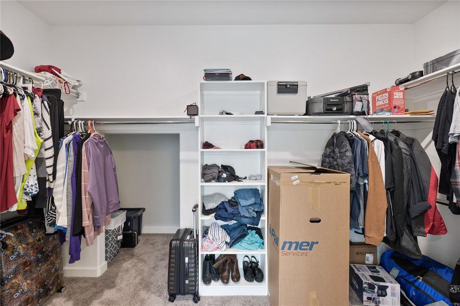 Spacious closet featuring light carpet