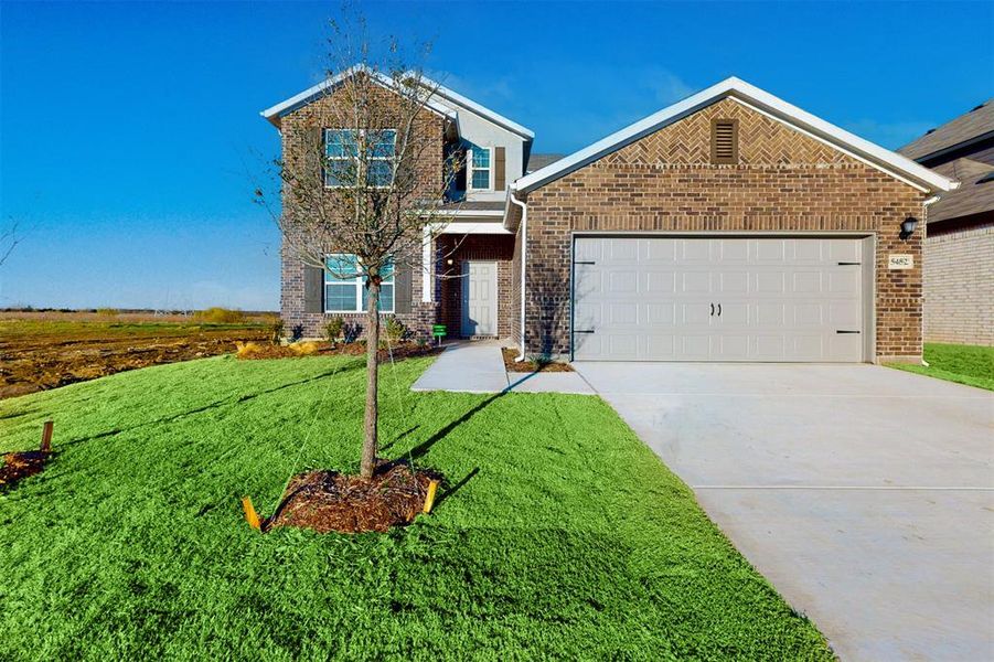 New construction Single-Family house 5452 Agalinis, Royse City, TX 75189 - photo