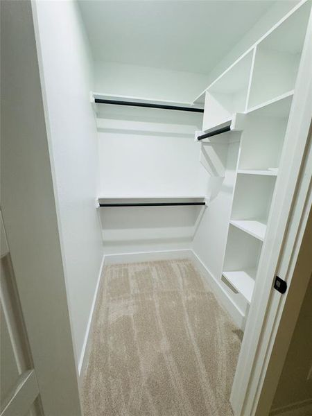 Walk in closet with light carpet