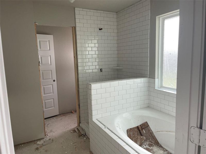 Owner's bath - Still under construction!