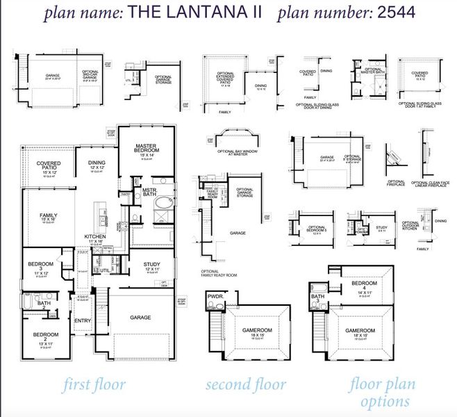 New construction Single-Family house LANTANA II 2544, 29627 Apple Glen Court, Fulshear, TX 77423 - photo