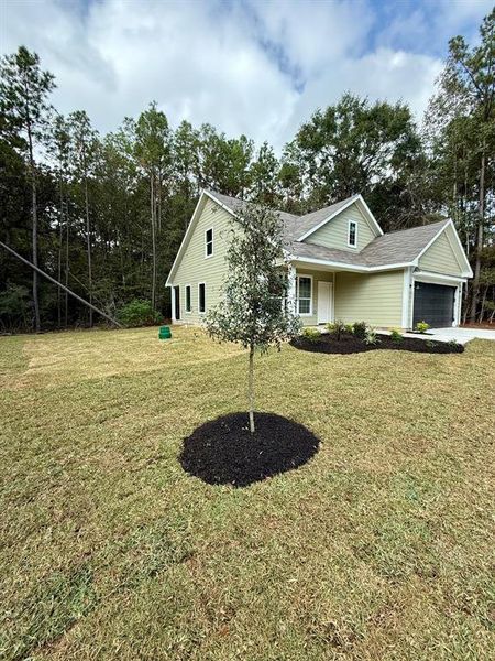 View of massive side yard surrounded by trees and Sam Houston National Forest.