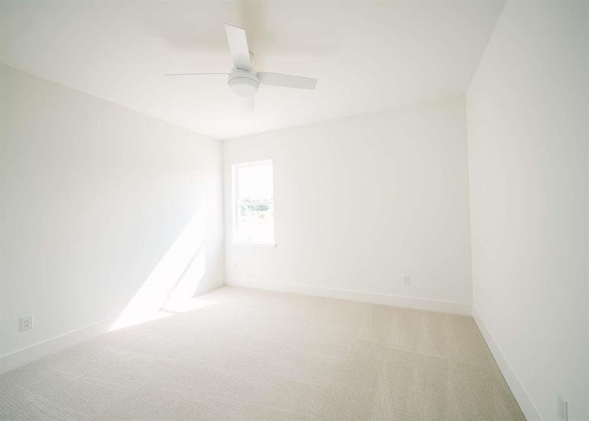 Empty room featuring ceiling fan and carpet flooring