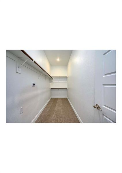 Spacious closet with carpet flooring