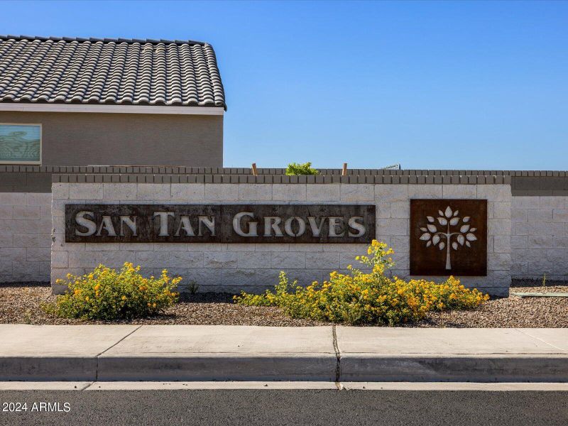 03-San Tan Groves_08