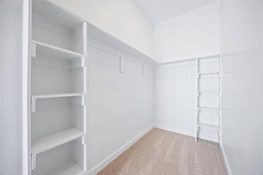 Spacious closet featuring carpet flooring