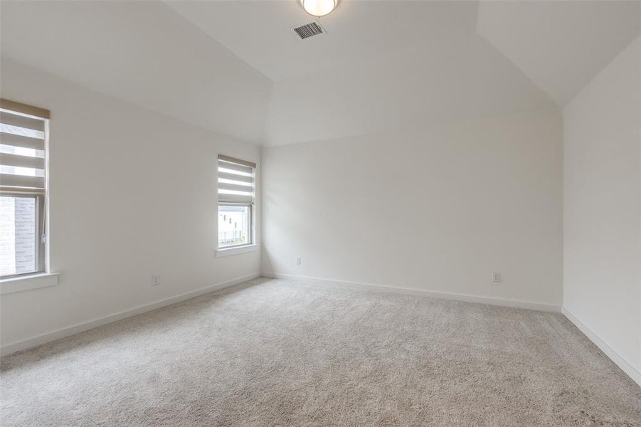 Unfurnished room with carpet flooring and vaulted ceiling