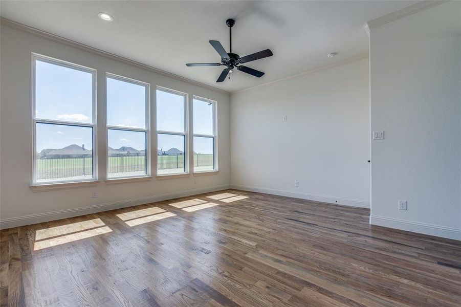 Empty room with ceiling fan, ornamental molding, and dark hardwood / wood-style flooring