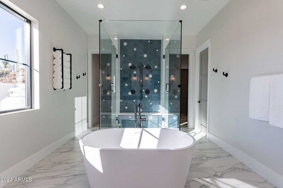 Owner Shower and Tub