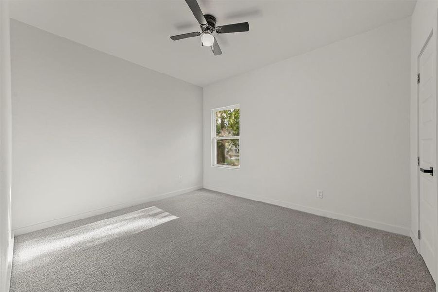 Carpeted empty room featuring a raised ceiling, ornamental molding, and ceiling fan