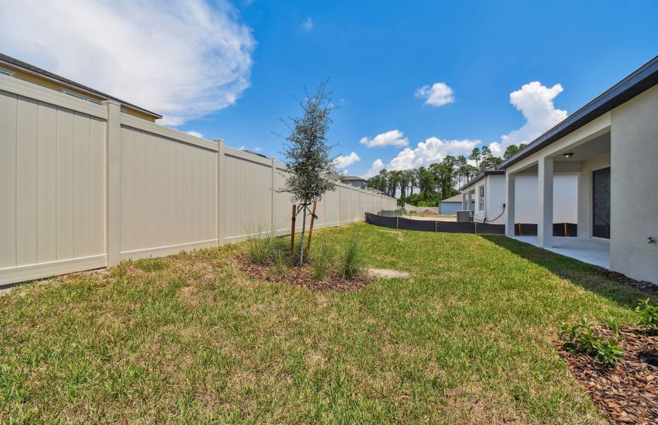 Rear Privacy Fence