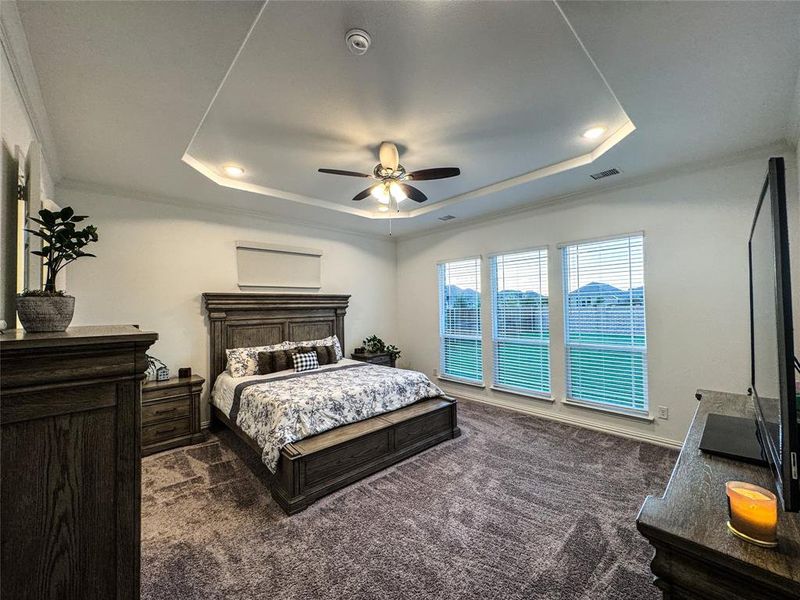 Carpeted bedroom with ceiling fan, a raised ceiling, and crown molding