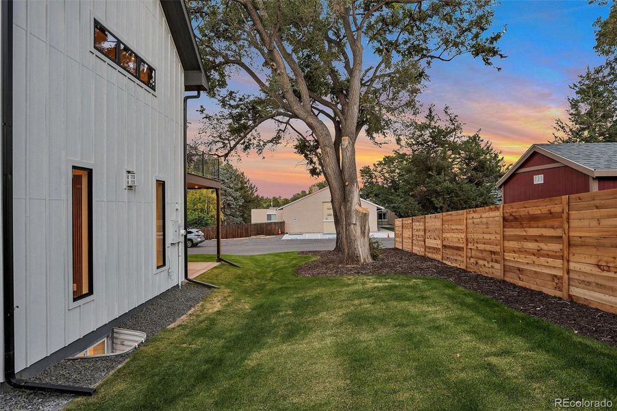 Back Yard w/ New Fence