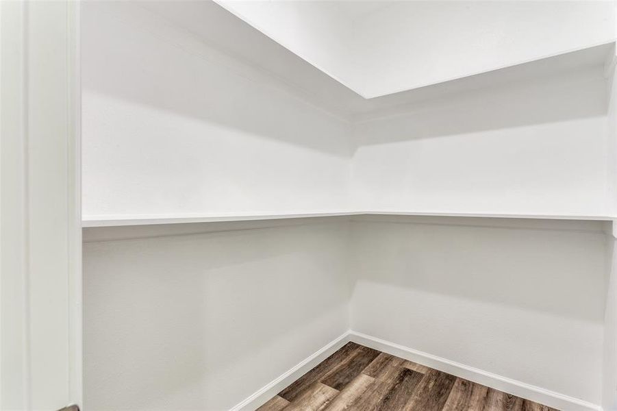 Spacious closet featuring dark wood-type flooring