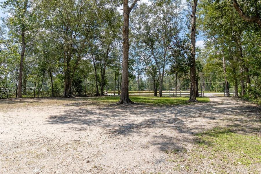 The photo shows a spacious, shaded outdoor area with mature trees, providing a serene, natural setting with a oversized lot.