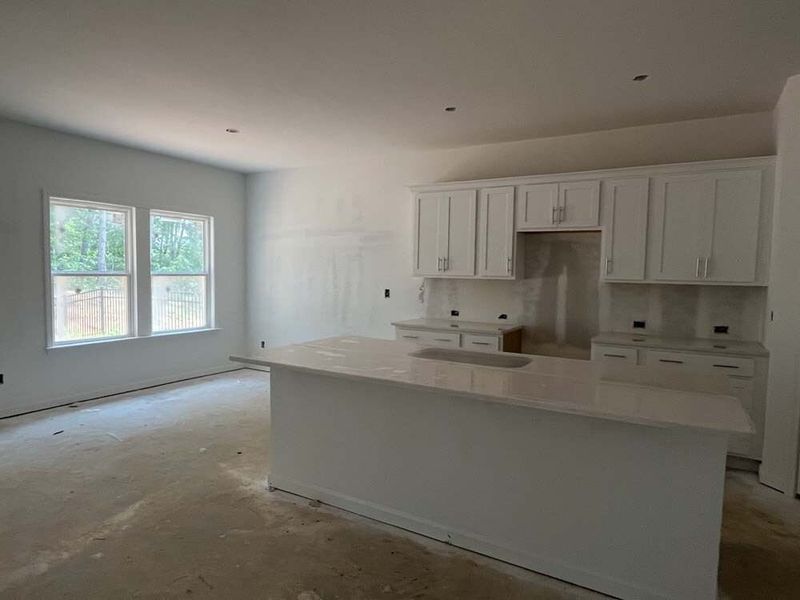 Kitchen featuring Coastal Collection Finishes Construction Progress