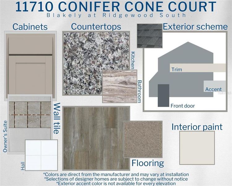 New construction Single-Family house 11710 Conifer Cone Court, Riverview, FL 33579 - photo