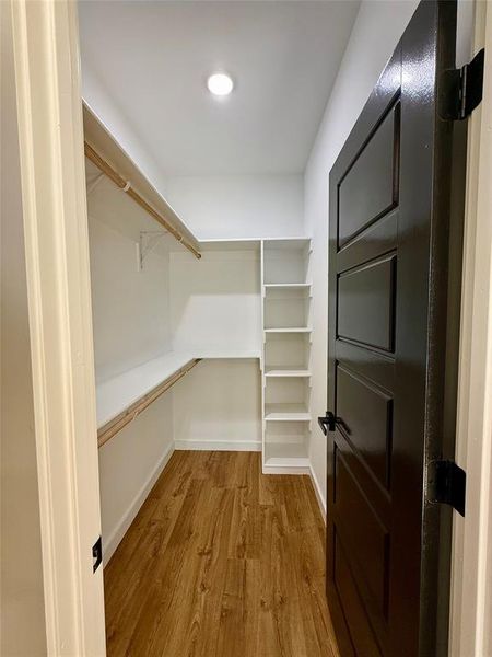 Spacious closet with wood-type flooring