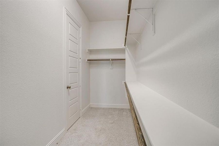 Walk in closet with light carpet