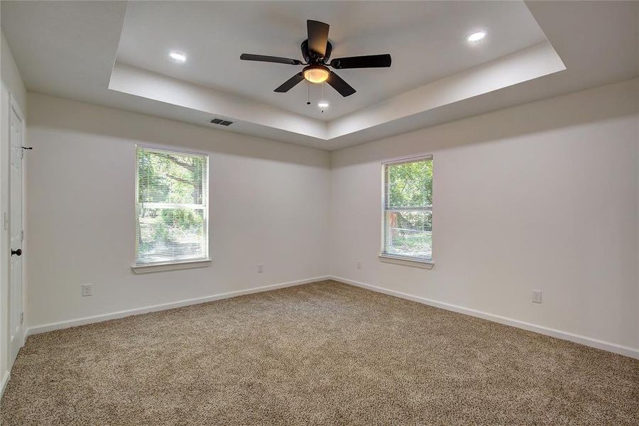 Carpeted primary room featuring a tray ceiling, plenty of natural light, and ceiling fan