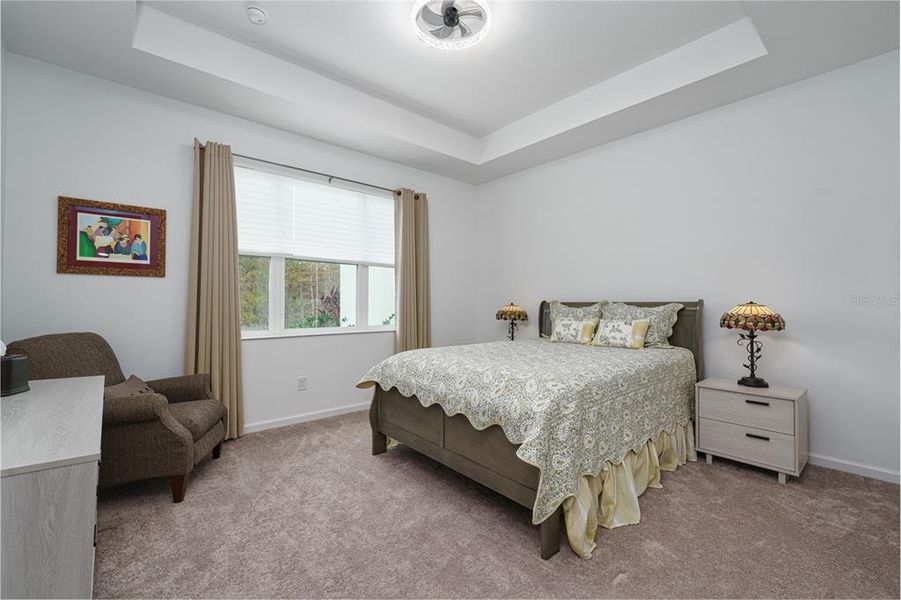 Primary bedroom with views of the preserve. Tray ceiling.