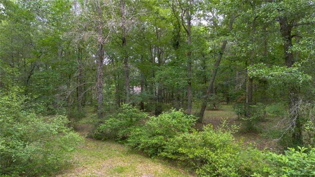 14606 Homesite