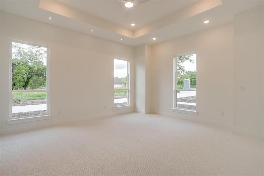 Spare room with a healthy amount of sunlight, a raised ceiling, and light carpet