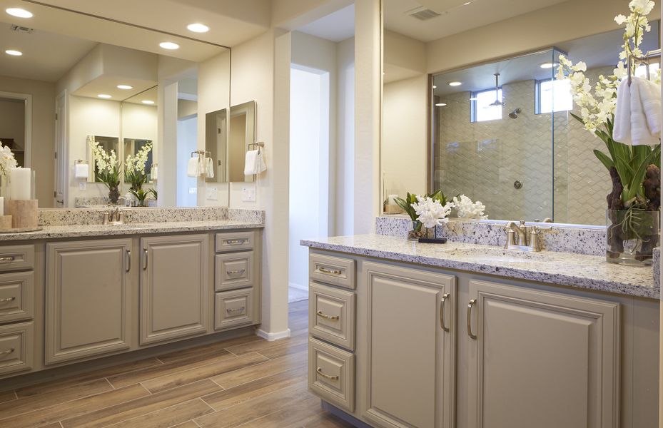 Luxurious owner's bath with a walk-in shower and two sinks