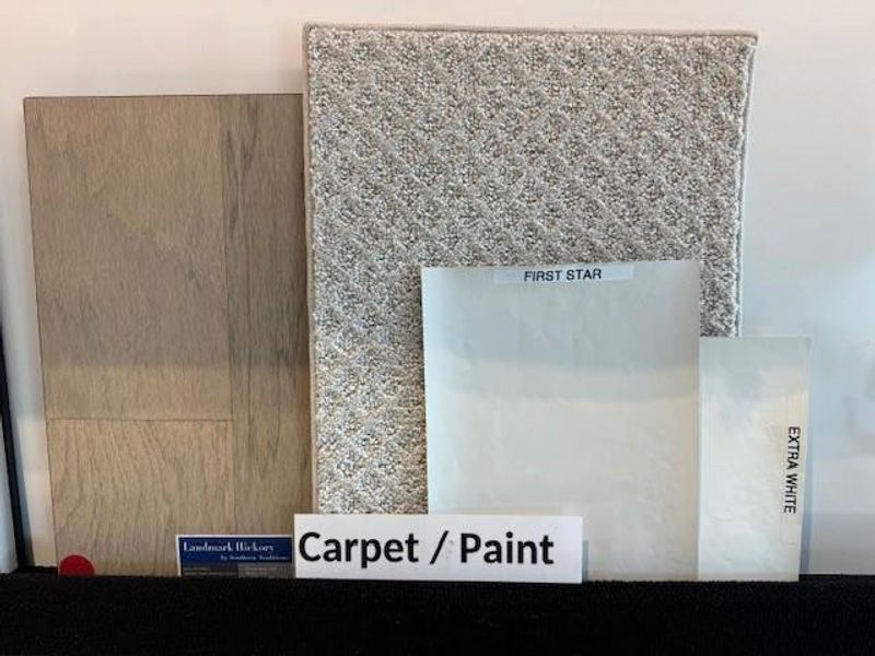 Carpet and paint selections.