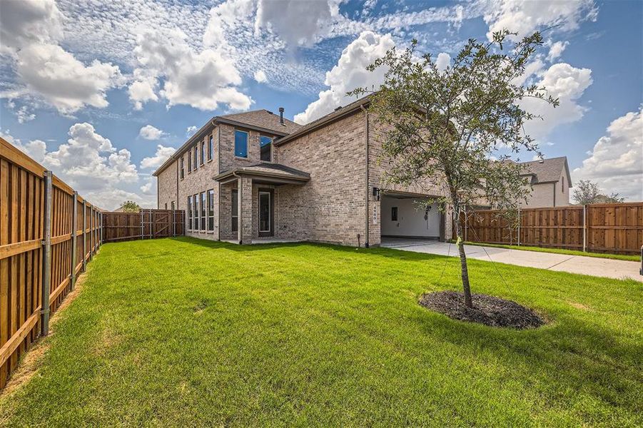 Large grass backyard