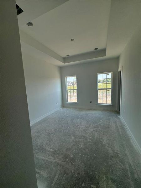 Carpeted Main bedroom with a tray ceiling