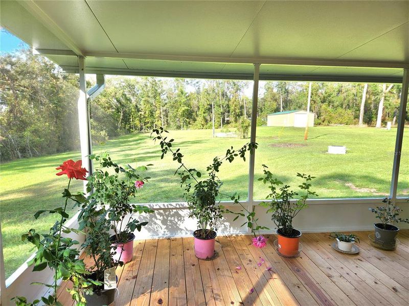 view from back enclosed porch.