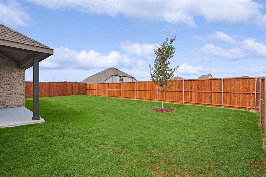 View of yard featuring a patio area