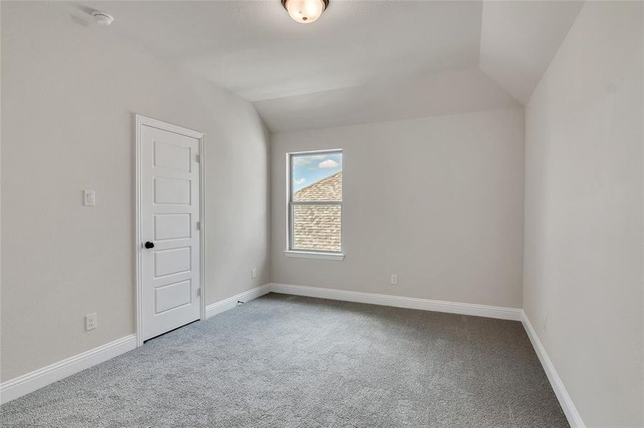 Additional living space featuring lofted ceiling and carpet